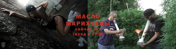 гидра Богородицк