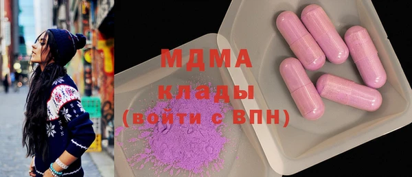гидра Богородицк