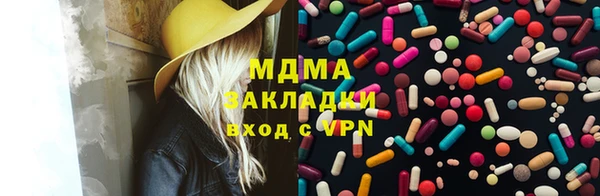 гидра Богородицк