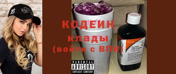 гидра Богородицк