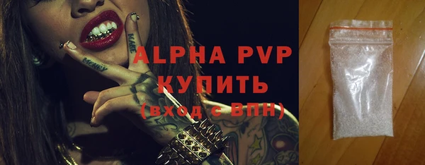 гидра Богородицк