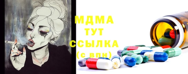 гидра Богородицк