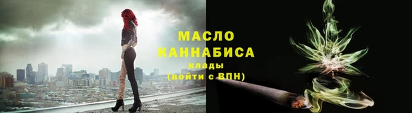гидра Богородицк