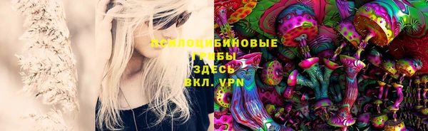 гидра Богородицк