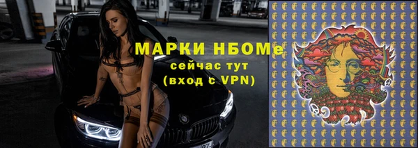 гидра Богородицк
