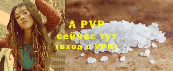 гидра Богородицк