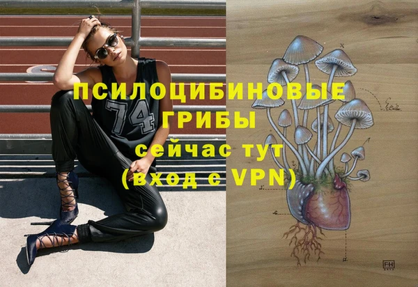 гидра Богородицк