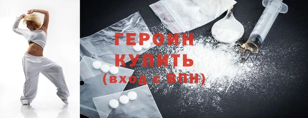 гидра Богородицк