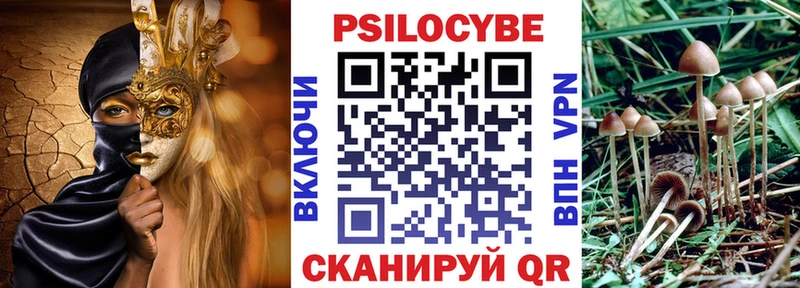 Купить  Светлоград  Галлюциногенные грибы мицелий 